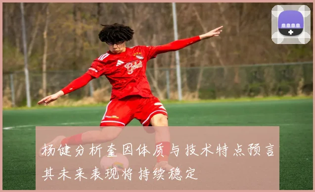杨健分析奎因体质与技术特点预言其未来表现将持续稳定