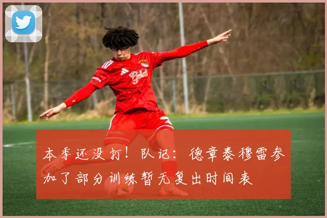 本季还没打！队记：德章泰穆雷参加了部分训练暂无复出时间表